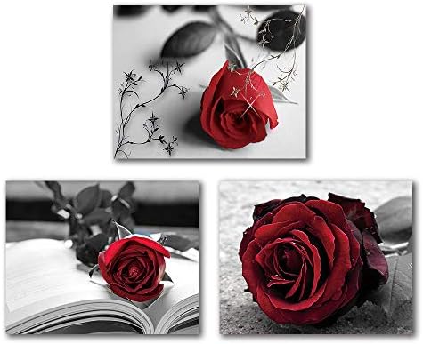 Régi Festmény Fekete, Fehér, Piros Rózsa Wall Art Festmények sor 3 (8X10 Vászon Kép) Absztrakt Wall Art Dekor Virág Művészet Festék