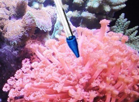 Korall Feeder SPS HPS Feeder, Rövid Változat Tengeri Halak, illetve a Coral Reef Akvárium CFT-1