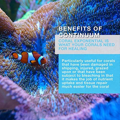 Folytonosság Vízi Korall Exponenciális - Korall Növekedést Gyorsító & Aminosav Komplex Élő Korallok & akváriumok Zátony, 2 Liter