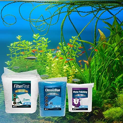 Vízi Szakértők FilterFirst 12 x12 Láb + Klasszikus Kék 12x72 + 4 Csomag Polírozás Pad 100 Mikron Csomag