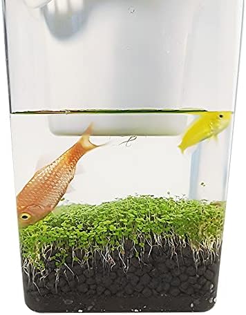 GHGHF Mini akvárium, Hal, Zöldség, Szimbiotikus Víz Fű Ultraing-Fehér Asztali Ökológiai Műanyag Kényelmes akvárium Nő Növények