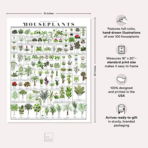 Pop Diagram | Kertészeti Ábra a Szobanövények | 16 x 20 Zöld Wall Art | Botanikus Művészet Plakát, Több mint 100 Növények | Földes Fali