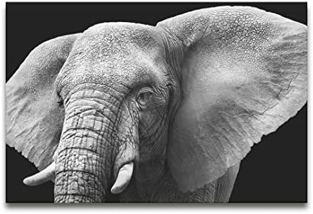 Akril Modern Wall Art Elefánt - A Vadon élő Állatok a Fekete-Fehér Sorozat - Modern Design - Akril Wall Art - Kép, Fotó Nyomtatás Grafika -