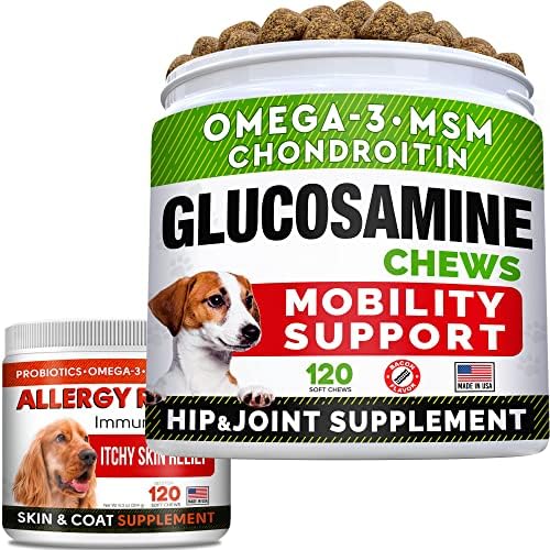 A glükózamin Kezeli + Allergia Enyhítésére Kutya Bundle - Közös Kiegészítés w/Omega-3 halolaj + Viszkető Bőr Megkönnyebbülés - Kondroitin, MSM