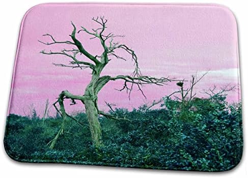 3dRose Halott Fa Rózsaszín, Zöld Levelek Sky műholdas Fürdőszoba Kád Szőnyeg Szőnyeg (szőnyeg-184414-1)