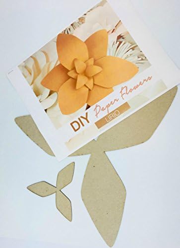 Papír Virág Sablon Készlet Minta DIY, Hogy A saját Virág Hátteret Fotó Virág Dekoráció Kártya lirio-t 14 x 12 Cm