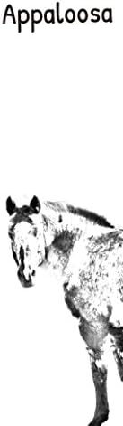 Művészeti Kutya Kft. Appaloosa, Fából készült Bor Doboz egy Kép egy Ló
