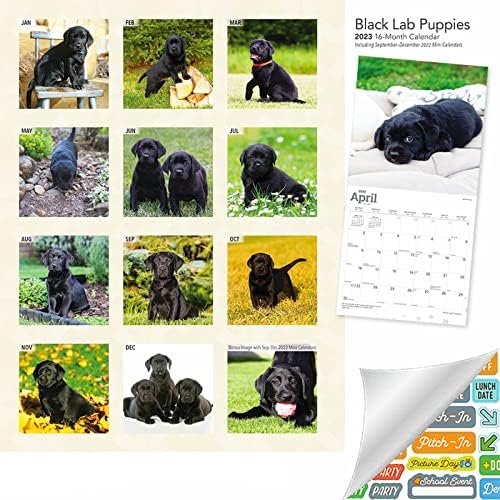 Fekete labrador Kiskutyák Naptári 2023 -- Deluxe 2023 Fekete labrador Kiskutyák falinaptár Csomag Több mint 100 Naptár Matrica (Fekete