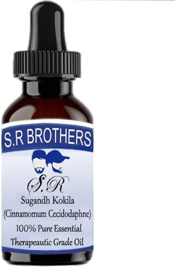 S. R Testvérek Sugandh kokila (Cinnamomum Cecidodaphne) Pure & Natural Therapeautic Minőségű illóolaj Cseppentő 15ml