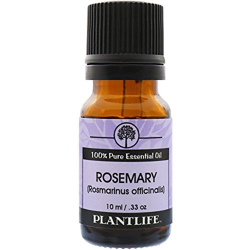 Plantlife Rozmaring Aromaterápiás illóolaj - Egyenesen A Növény Tiszta Terápiás Minőségű - Nem Adalékanyagok vagy Töltőanyagok - 10 ml