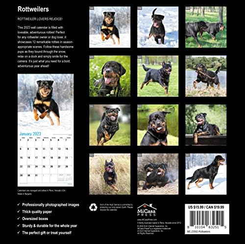 : MICASA Rottweiler 2023 függeszthető kivitel Havi Fali Naptár | 12 x 24 Nyitva | Vastag & Erős Papír | Giftable | Aranyos Kutya