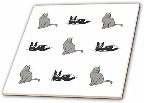 3dRose Minta szürke macska ül, fekete-fehér szmoking macskák szóló - Csempe (ct_358370_7)