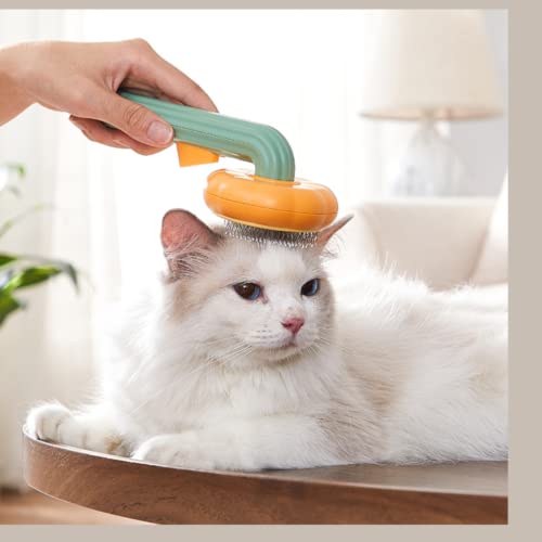 Pet Tököt Mosd Egyéni Tisztítás a Macskák, Kutyák (Zöld)