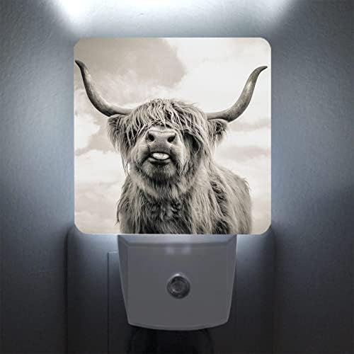 Yobvec Highland Tehén Éjszakai Fény a Fiúk Lányok Nyomtatott LED Lámpa, Éjjeli Fény Csatlakozóját A Fali Alkonyat Hajnal Érzékelő