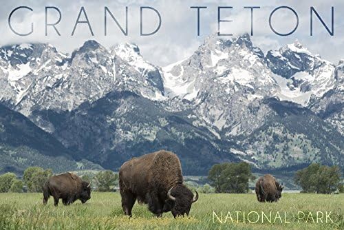 Grand Teton Nemzeti Park-Wyoming, Buffalo, Hegyi Jelenet (15oz Fekete Kerámia Kávés Bögre Tea, Mosogatógép, Mikrohullámú Biztonságos)
